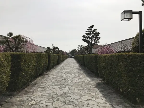 綺麗