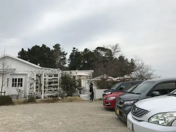 sunflowercafe