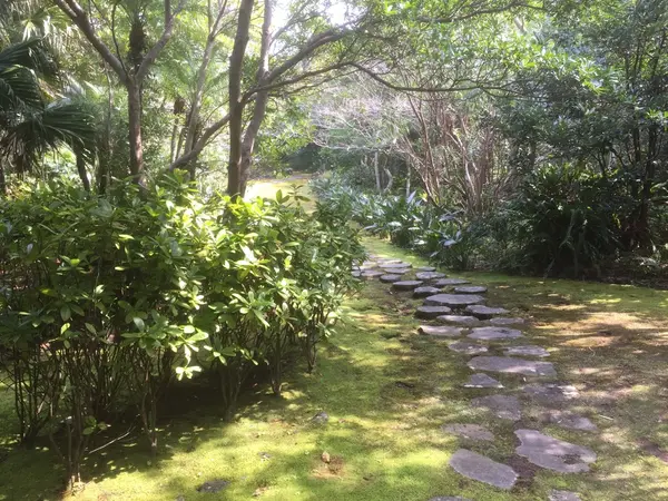 石畳の道