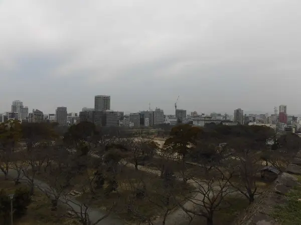 展望