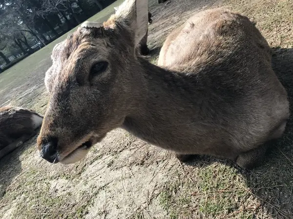 ポカポカ気持ちいい✨
