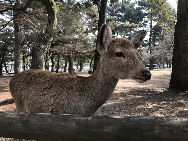 餌くれ〜〜！！
