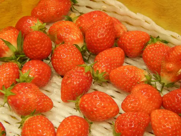 朝摘みのフレッシュないちごが！