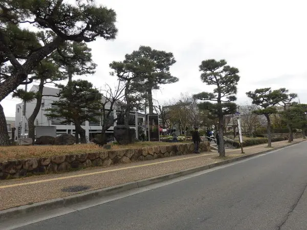 道路沿いに緑も