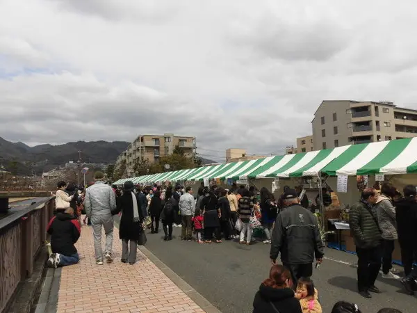 芦屋さくらまつり