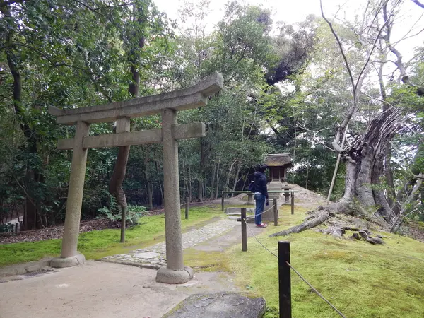 地蔵堂とムクノキ