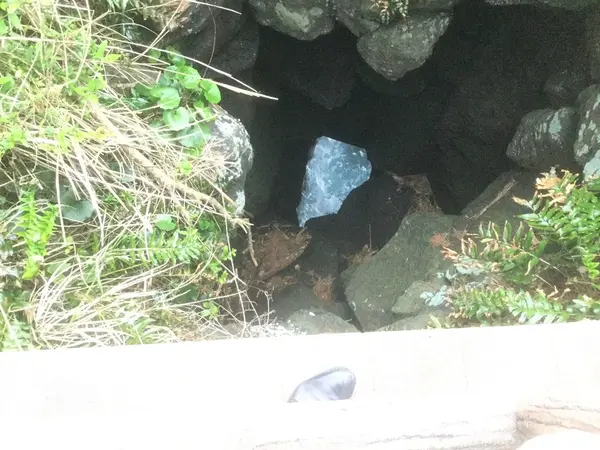 穴口