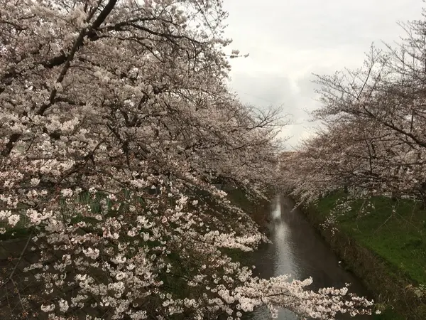 御用水跡街園（ごようすいあとがいえん）