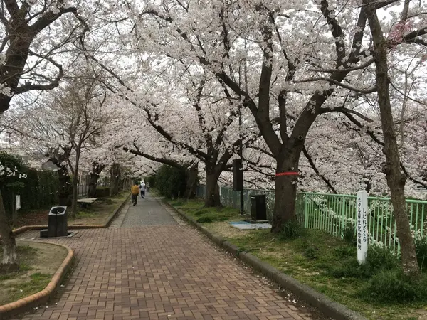 遊歩道