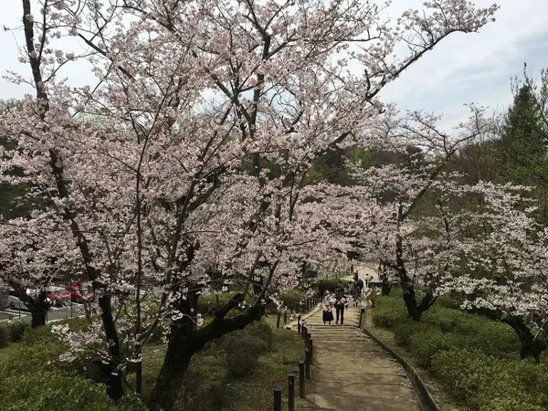 回廊の登り口