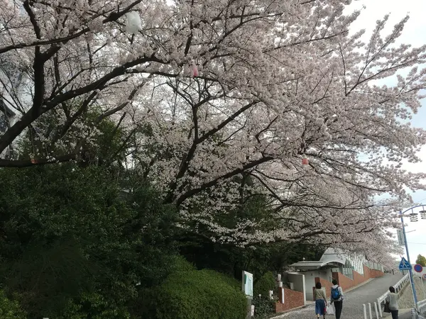 隣りの椙山女学園大