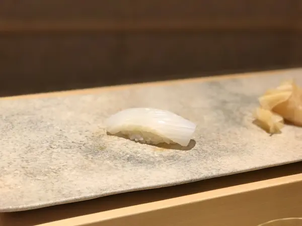 アオリイカ