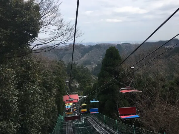 大人しくリフトにて下山…