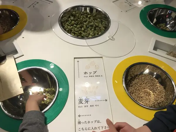 麦芽は試食できます