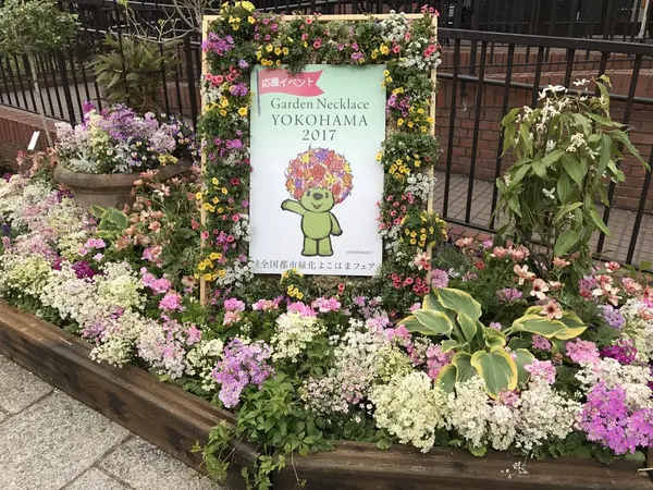 季節のお花