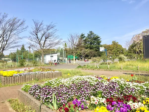 いつもキレイな花壇♫