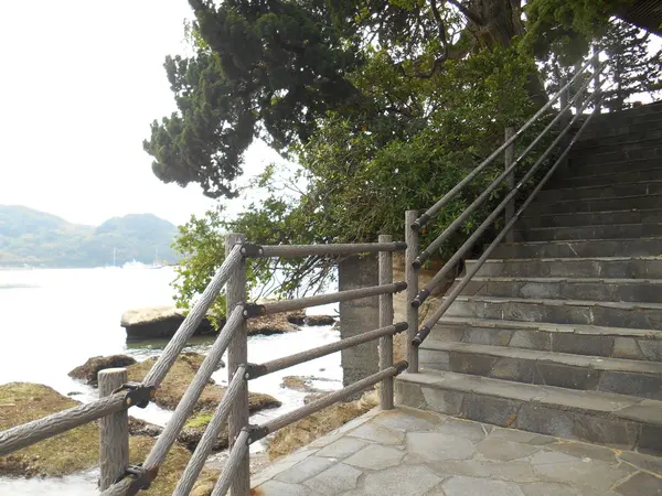 登って行けます！