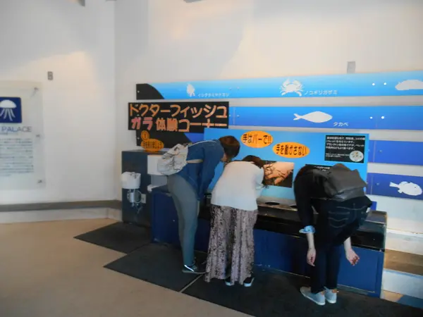 ドクターフィッシュ