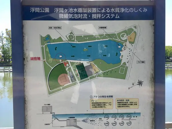 水質浄化システムで綺麗になっている大きな池！！だから生き物たくさんなんです。