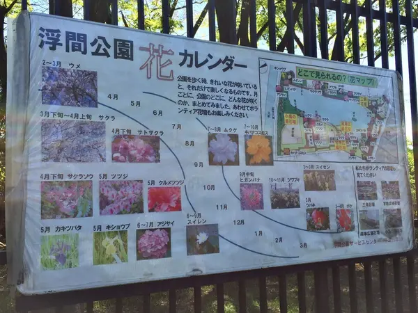 花も！！