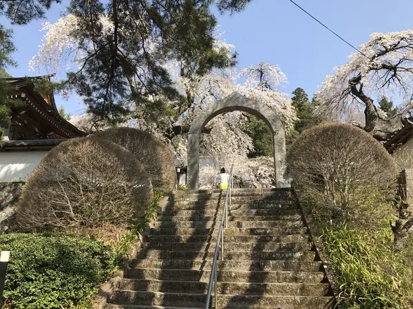 中腹