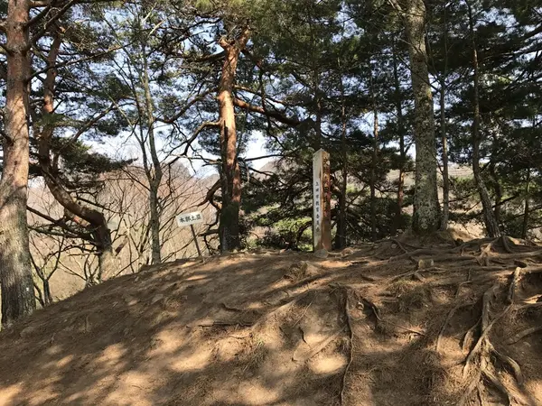 頂点