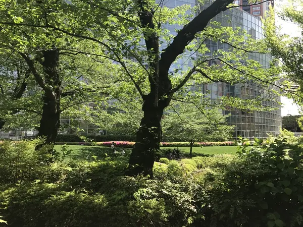 毛利庭園