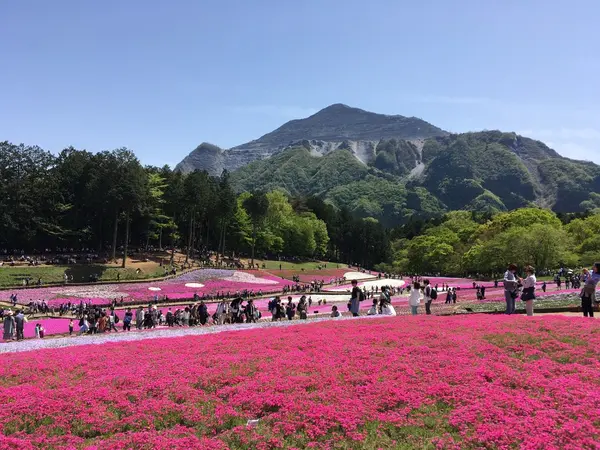 到着！