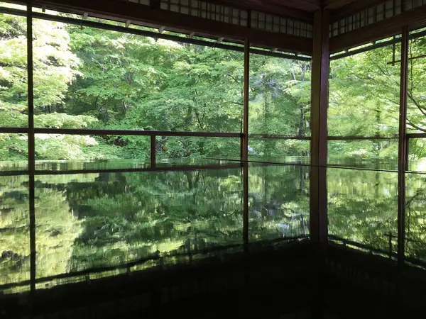 写真を撮る手が止まらない……📷！！