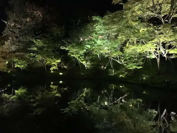 ずらーっと並んでいます。