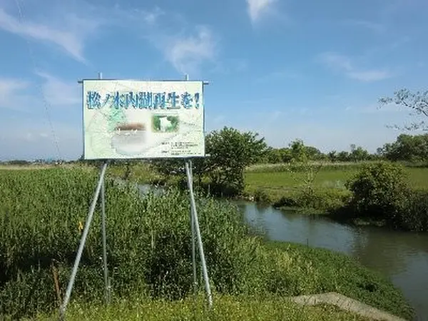 もう一度、内湖を生き物の宝庫に