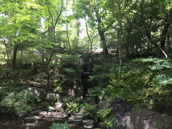 大滝