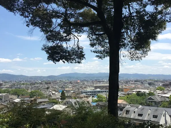 お庭からの眺め