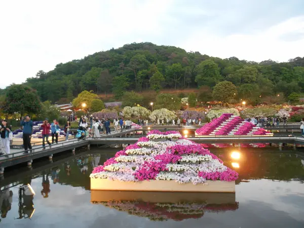 水に浮かぶ花