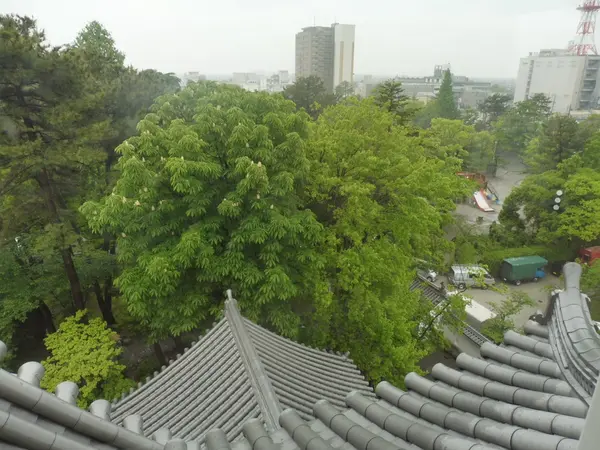 天守からの眺め