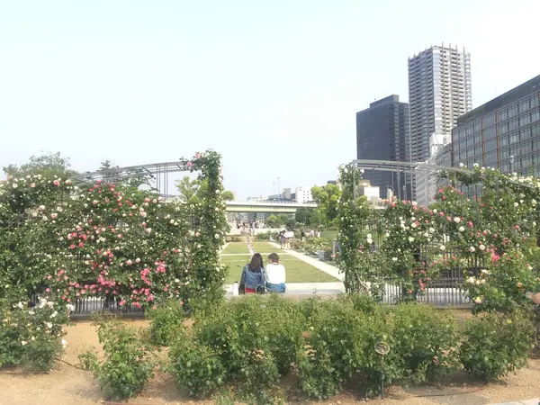 バラ園🌹