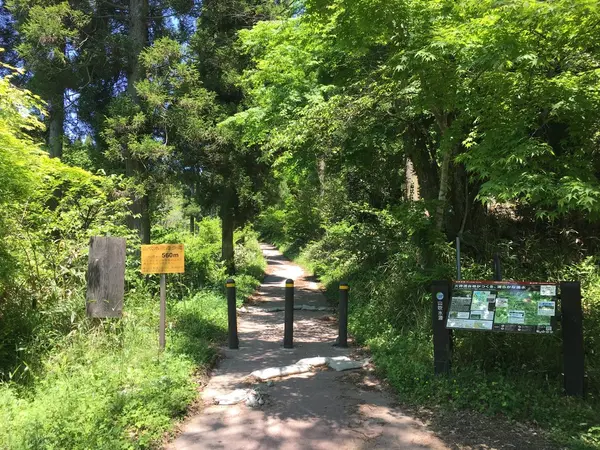 水源への散歩道