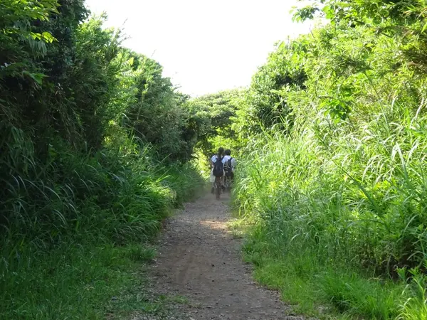 城ヶ島 ハイキングコース