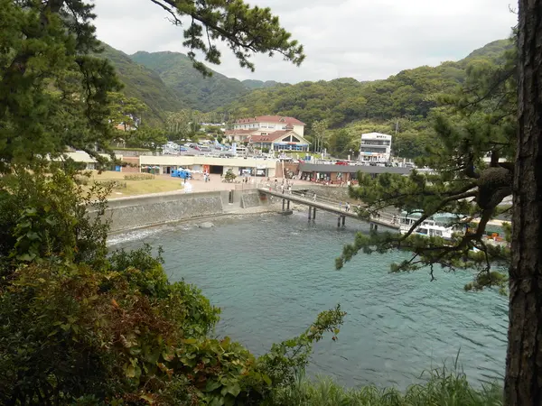 上の方から