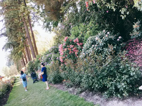 他のお花たちもかわいい