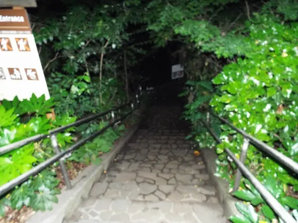 渓谷へ