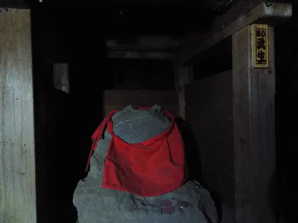 蛙