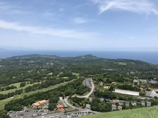 緑が広がるー🎶