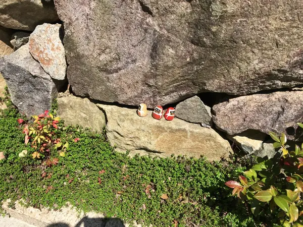 ロッククライミング？