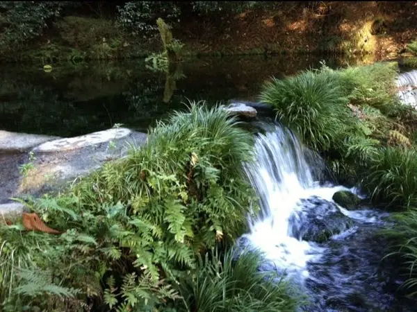圧巻！毎分30トンもの水量！