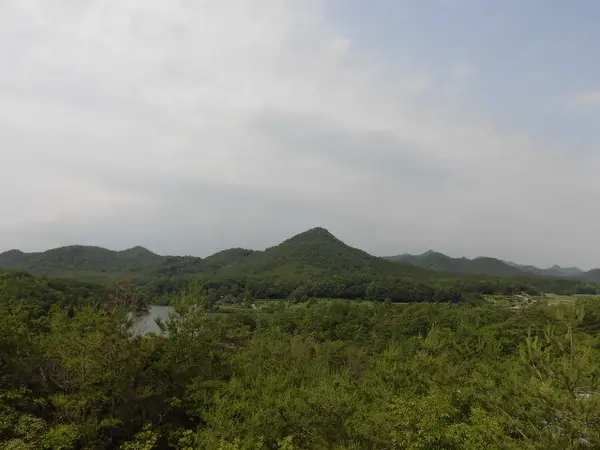 有馬富士