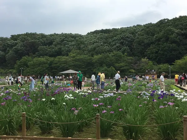 散策