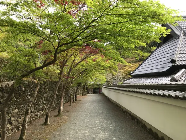 参道