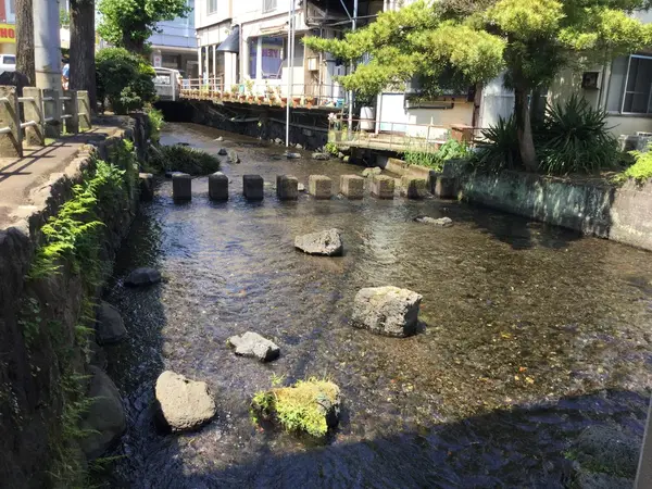 富士山から流れる湧水