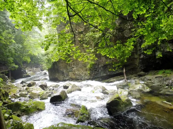 滝めぐりコースはいろいろ